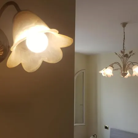 Fiorestella Alojamento de Acomodação e Pequeno-almoço 3*