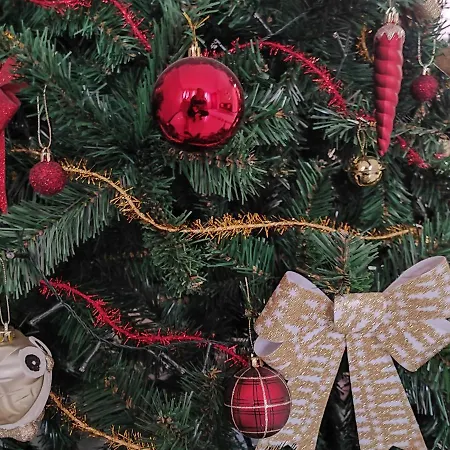 Fiorestella Alojamento de Acomodação e Pequeno-almoço